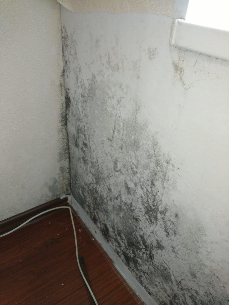 Как избавиться от плесени в квартире? Ремонт стен снаружи по технологии «теплый шов»